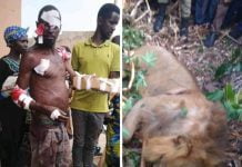 Ouganda : un homme tue un lion en plein combat !