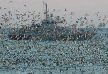 Moscou assure que des mines ukrainiennes dérivent en mer Noire !