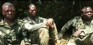 Flash/Nord-Kivu: les rwandais capturés ont dévoilé leur plan