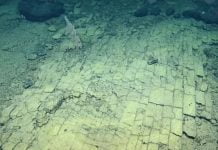 Un mystérieux chemin de briques découvert au fond de l’océan !