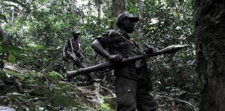 Flash/Nord-Kivu : 4 groupes signent une alliance de non agression à Pinga