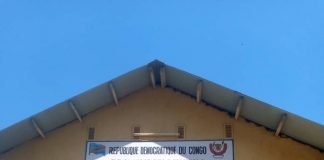 Mongala : Élection de gouverneur et vice-gouverneur dans la province de la Mongala.