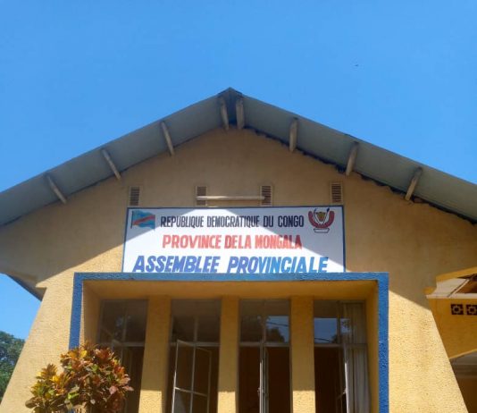 Mongala : Élection de gouverneur et vice-gouverneur dans la province de la Mongala.
