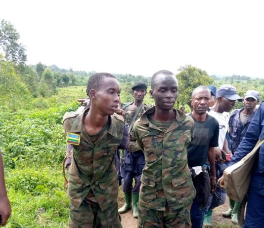 Urgent: deux rebelles rwandais attrapés par les FARDC
