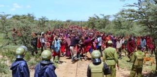 Tanzanie : Des Massaïs dénoncent la transformation de leurs terres en réserve pour touristes !