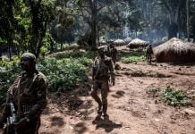 Ituri : 3 chefs coutumiers pris en otage par des CODECO à Djugu, Tommy Tambwe parle d’un “ sabotage ”