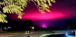 Des Australiens en panique face à d’effrayants « extraterrestres », le phénomène expliqué !