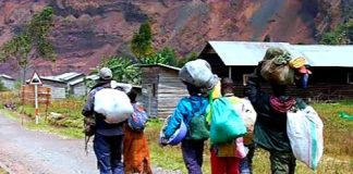 Rutshuru : Les chefs coutumiers plaident pour la prise en charge des déplacés de Nyesisi qui arrivent à Rugari fuyant les affrontements !