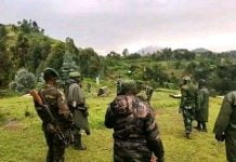 Flash : Les FARDC récupèrent Chengerero non loin de Bunagana et tuent plusieurs rebelles M23 !