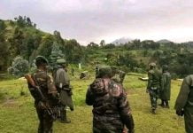 Flash/Nord-Kivu : Les FARDC récupèrent le village de Ruseke !