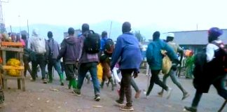 Nord-Kivu : Les anciens combattants du centre de cantonnement de Mubambiro retournent en brousse !