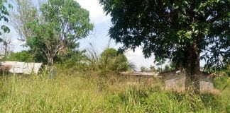 Irumu : de retour du village Chini ya Kilima, le CDL raconte la misère de la population locale