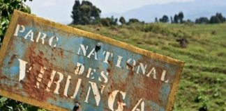 La RDC menace de militariser le parc des Virunga si d’autres pays ne condamnent pas le Rwanda !