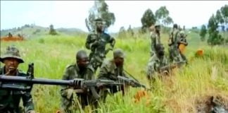 Nord-Kivu : Le M23 attaque une centrale hydroélectrique en construction dans le Parc des Virunga.