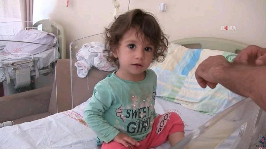 Turquie: attaquée, cette fillette de 2 ans tue un serpent méchamment en le mordant ! 2 Turquie: attaquée, cette fillette de 2 ans tue un serpent méchamment en le mordant ! 2