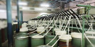 La République démocratique du Congo relance la production des cotons !