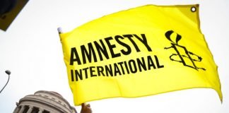 Fourniture d’armements aux groupes terroristes du Sahel : Des pays occidentaux démasqués par Amnesty International !