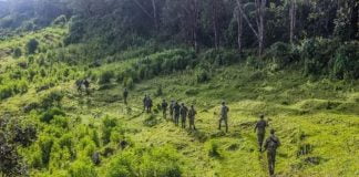 Nord-Kivu : Accrochage mortel dans le parc des Virunga !
