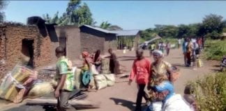 Ituri : Les ADF hissent leur drapeau dans 13 villages !