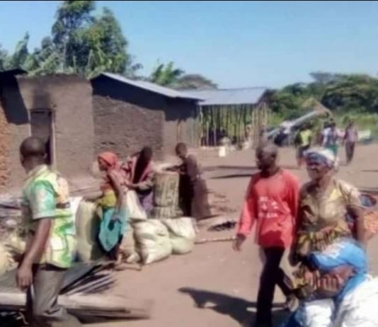 Ituri : Les ADF hissent leur drapeau dans 13 villages !