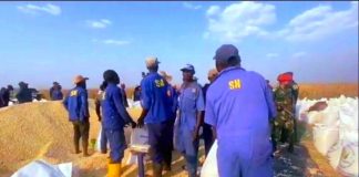 RDC/Kanyama-Kasese : 1500 tonnes de maïs ont accosté à Kinshasa !