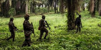 Nord-Kivu: L’armée congolaise s’approche à 2km de Bunagana dans le front Busansa jusqu’à kibaya !