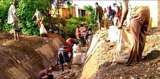 Des ONG congolaises dénoncent l’extraction illégale d’or dans le principal refuge de la « licorne d’Afrique », réserve de okapis du Congo !