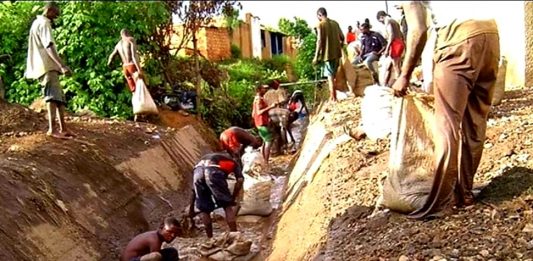 Des ONG congolaises dénoncent l’extraction illégale d’or dans le principal refuge de la « licorne d’Afrique », réserve de okapis du Congo !