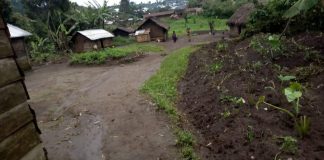 Nord-Kivu : La trêve RDC-M23 est rompue avec une attaque contre le convoi du M23 !