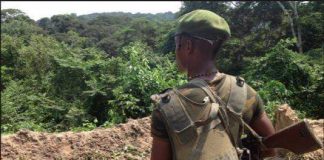 Nord-Kivu : Un calme se manifeste sur les lignes de front !