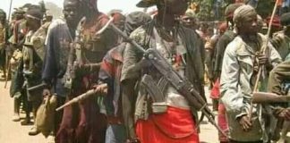 Tanganyika : Les miliciens Maï-maï s’emparent d’un carré minier et de plusieurs villages dans le territoire de Moba !