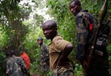 RDC : Félix Tshisekedi dit non au brassage, mixage des rebelles M23 dans l’armée !