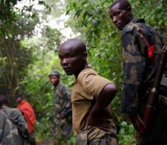 RDC : Félix Tshisekedi dit non au brassage, mixage des rebelles M23 dans l’armée !