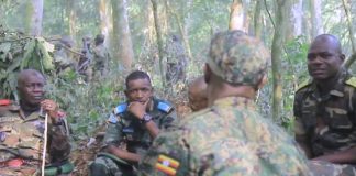 RDC-M23: le gouvernement dit documenter sur la participation ou non de l’Ouganda ces derniers jours aux côtés des M23 à Rutshuru !