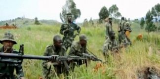 Reprise des combats entre les FARDC et les M23 : l’armée récupère 4 localités