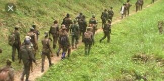 Les FARDC arrêtent deux miliciens Maï-Maï à Bashu