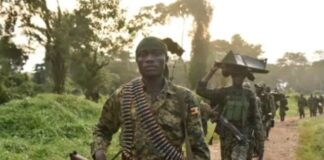 Ituri: La coalition entre FARDC-UPDF a libéré environ une vingtaine d’otages des ADF près de Boga