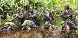 Beni : 4 combattants ADF tués dans la vallée de mwalika