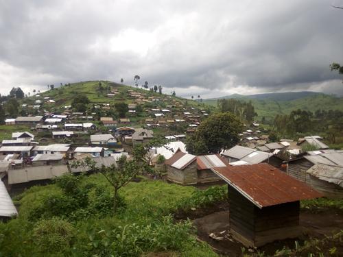 bitmap_500_nocrop_1_1_20210519120308499721-Masisi_4
