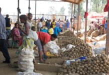 Le Rwanda se classe au premier rang des pays a faible revenu