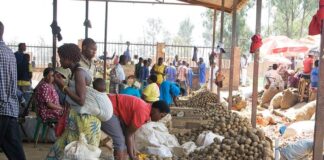 Le Rwanda se classe au premier rang des pays a faible revenu