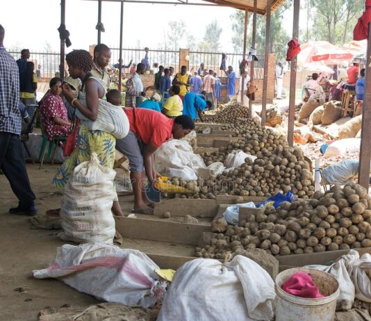 Le Rwanda se classe au premier rang des pays a faible revenu
