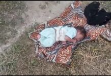 Triste ! Un bébé abandonné dans une brousse par sa mère !