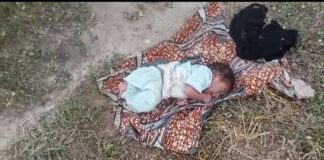 Triste ! Un bébé abandonné dans une brousse par sa mère !