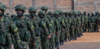 RDC : Plus de 1000 soldats rwandais ont été vus sur le sol congolais entrain d’exercer les activités militaires