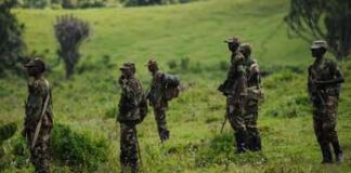 Nord-Kivu : Sous le joug du M23, la population de Bambo traverse un calvaire