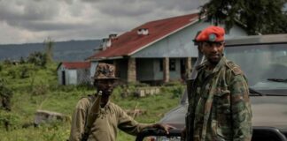 Nord-Kivu : Mésententes entre les éléments M23 d’origine congolaise et Rwandaise !