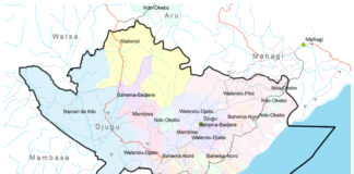 Ituri : Nouveaux affrontements entre les FARDC et ADF font 4 morts et plusieurs kidnappings