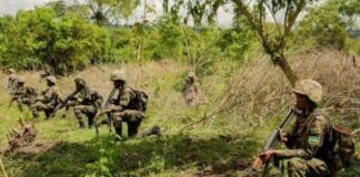 Guerre à l’Est : Human Rights Watch dévoile le vrai rôle du Rwanda dans l’agression à l’Est de la RDC !