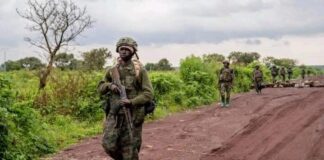 Nord-Kivu : Kishishe vient d’être libéré par les FARDC et résistants patriotes après des violents combats contre le M23 !